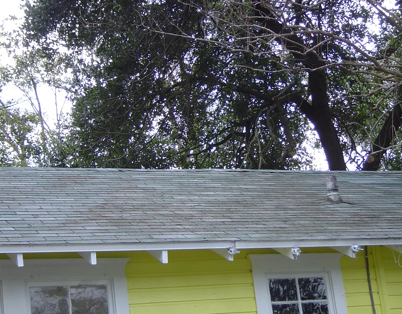 Freshly painted chartreuse-yellow cottage exterior with white trim