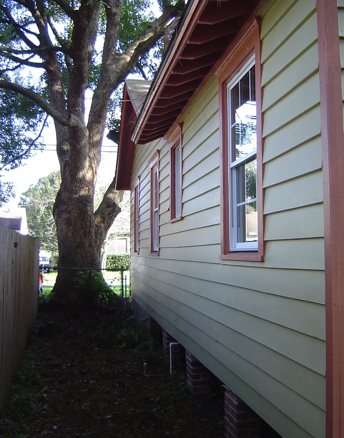 Sage green lap-siding home exterior shaded by a large live oak