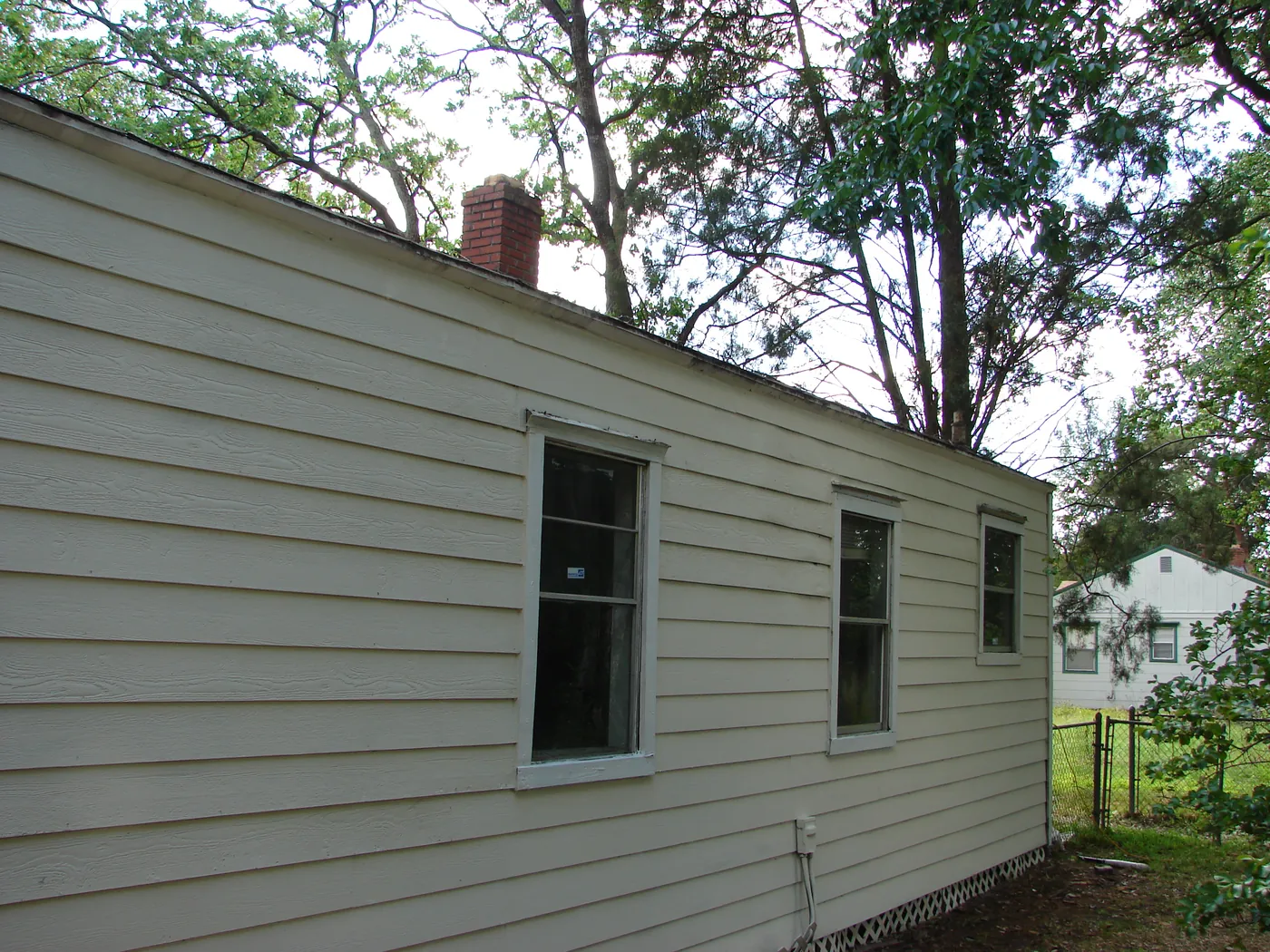 Rear elevation of a home with several windows and evenly cleaned light-green lap siding