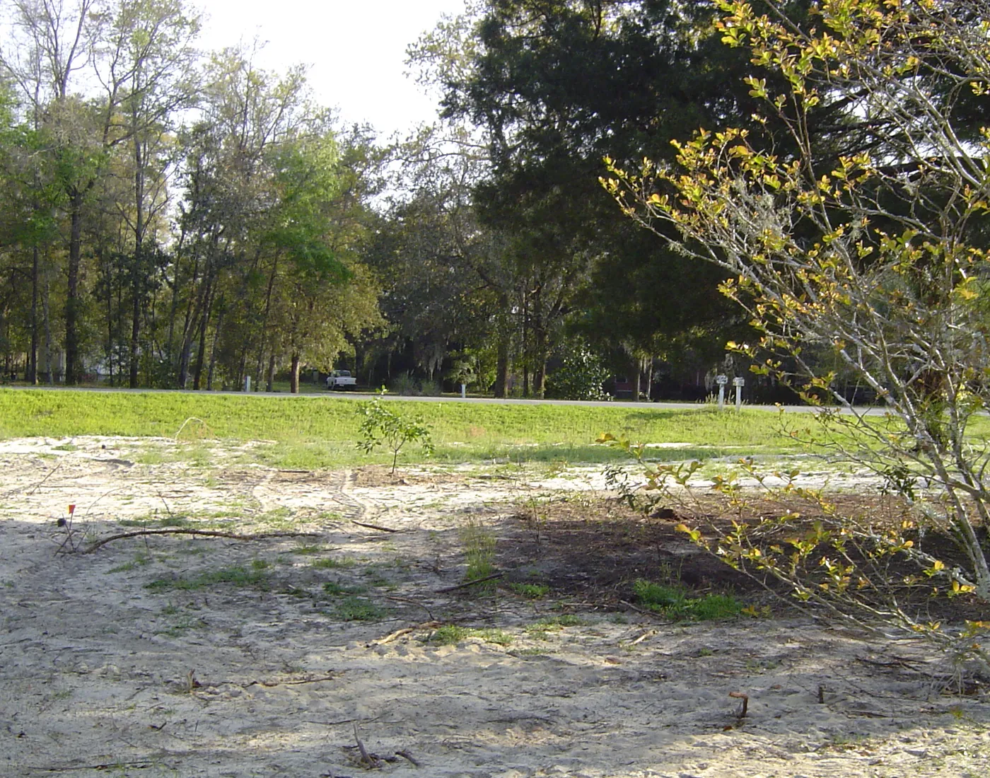 Graded and cleared open lot with brush removed, bordered by trees