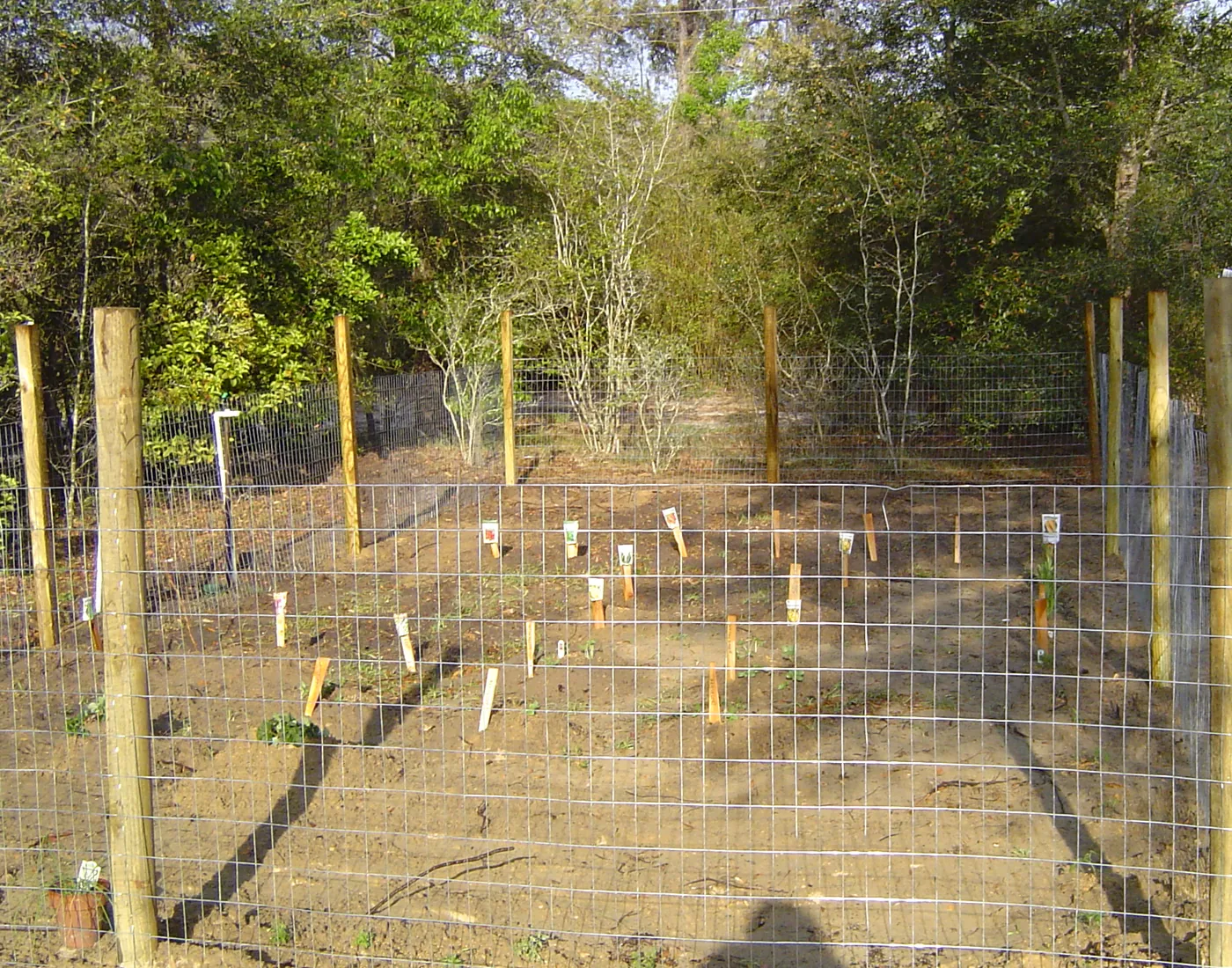 Cleared raw lot with newly installed wire fencing and posts on graded dirt