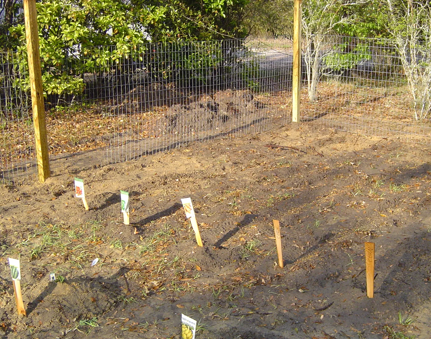 Freshly cleared and graded lot with new fence posts staked along the perimeter